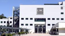 Imagem de Estágios de Verão no Centro de Química da Madeira e no M-ITI