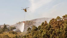 Imagem de Plano Operacional de Combate a Incêndios Florestais entra hoje em vigor (Áudio)