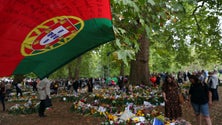 Imagem de Isabel II: Portugueses somam-se a multidão em Buckingham