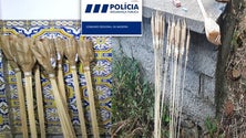 Imagem de PSP detém 3 homens pela posse ilegal de fogo-de-artifício