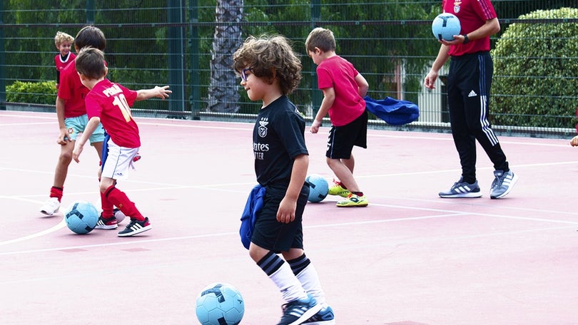 Jovens madeirenses visitam instalações em «Encontro Nacional de Escolas do Benfica»