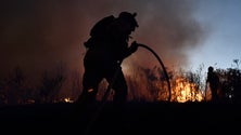 Imagem de Incêndios: Cerca de 30 concelhos em risco máximo