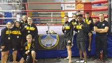 Imagem de Pico destaca-se no  kickboxing (Vídeo)