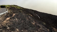 Imagem de Ponta do Sol perdeu “cerca de 70 a 80% da mancha florestal”