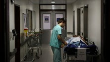 Imagem de Enfermeiros/Greve: Governo da Madeira responsabiliza República por incumprimento de promessas