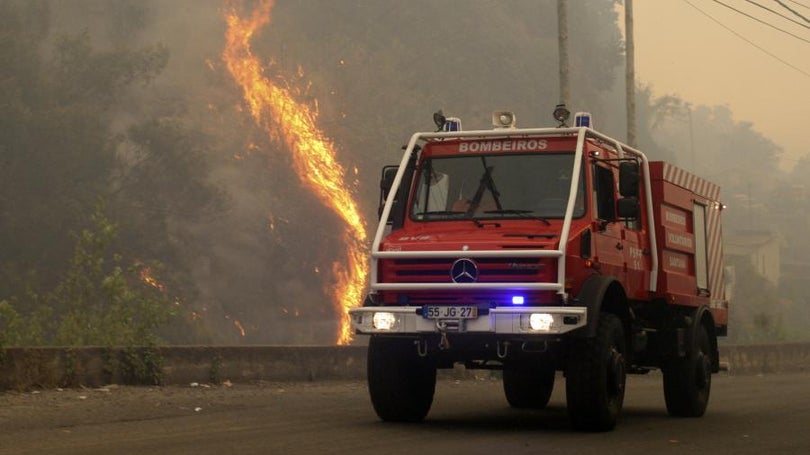 Madeira investe 1,1 milhões de euros no combate a incêndios