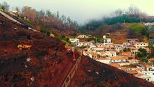 Intervenção nas Escarpas do Funchal pós-incêndios (Vídeo)