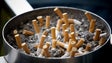 Portugueses desenvolvem caixa porta maços de tabaco