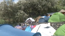 Imagem de Maré de Agosto: Festivaleiros voltam a encher a Praia Formosa [Vídeo]