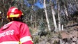 Imagem de Novo incêndio no Garachico