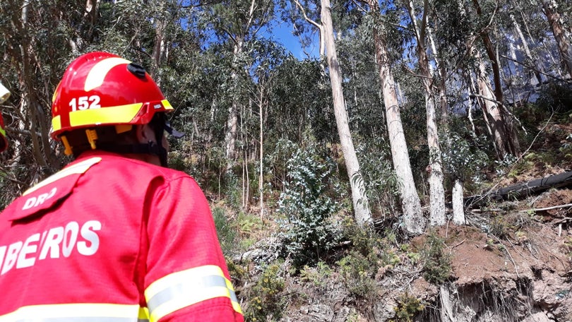 Novo incêndio no Garachico