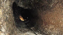 Imagem de Gruta no interior da Terceira à espera de uma visita (Vídeo)