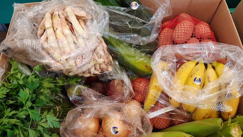 Imagem de 660 mil euros para exportação de produtos regionais
