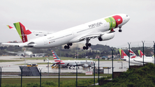 Imagem de TAP transportou quase 1,5 milhões de passageiros nos voos do Brasil