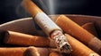 Imagem de Tabaco é responsável por uma em cada cinco mortes por doença cardiovascular – OMS