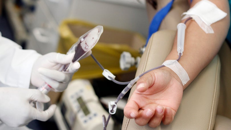 Imagem de Serviço de Saúde da Madeira nega qualquer campanha de recolha de sangue