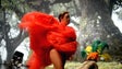Bailarinos revelam sonhos em `Happy Island`