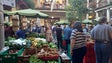 Imagem de Mais de 25 mil pessoas esperadas na Noite do Mercado (áudio)
