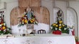 Imagem de Crismas na Ribeira Seca (áudio)
