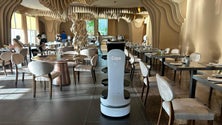 Imagem de Hotel madeirense tem um robot que serve à mesa (vídeo)