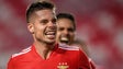 Imagem de Benfica empresta Weigl ao Borussia Monchengladbach por uma época