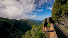 Imagem de Madeira reabre espaços florestais na segunda-feira (Áudio)