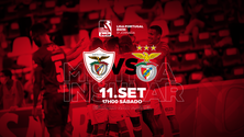 Imagem de Há grande procura de bilhetes para o Santa Clara-Benfica (Vídeo)
