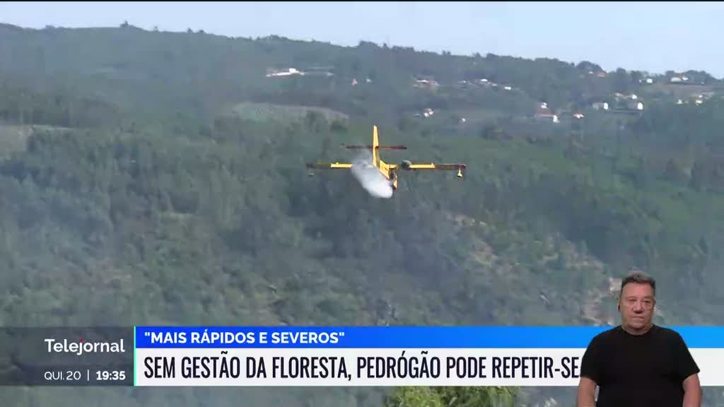 Relatório alerta que fogos rurais podem vir a ser "mais rápidos e severos"