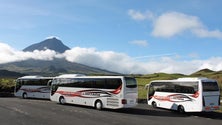 Greve nos transportes públicos do Pico (Vídeo)