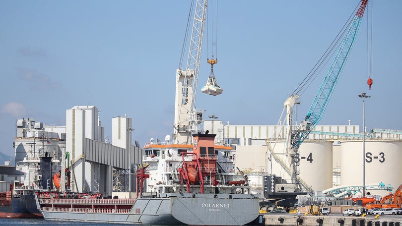 Imagem de Primeiro navio com cereais chegou ao destino na Turquia