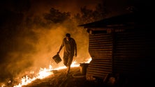 Imagem de Vinte e uma pessoas em vigilância eletrónica pelo crime de incêndio florestal