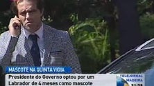 Imagem de Presidente do Governo Regional recebeu um cão para a Quinta Vigia (video)