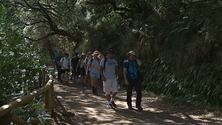 Imagem de ACIF tem estudo sobre gestão dos locais mais visitados pelos turistas (vídeo)