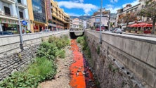 Imagem de Água avermelhada corre pela ribeira (vídeo)