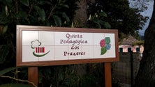 Imagem de PSD reconhece trabalho da Quinta Pedagógica dos Prazeres (Vídeo)