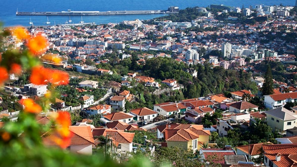 Imagem de Novo adicional do IMI está a recair sobre imobiliárias