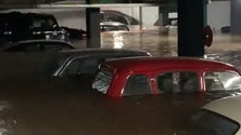 Imagem de Seguros não pagam prejuízos (vídeo)