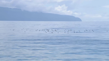 Imagens de satélite devem servir de prova para punir quem invade reservas marinhas (Vídeo)