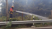 Imagem de Nascimento fala em meios organizados a atear incêndios em várias zonas da Madeira (áudio)