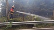 Imagem de Nascimento fala em meios organizados a atear incêndios em várias zonas da Madeira (áudio)