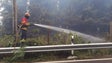 Nascimento fala em meios organizados a atear incêndios em várias zonas da Madeira (áudio)