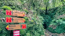 Levada do Caldeirão Verde já está transitável