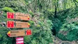 Imagem de Levada do Caldeirão Verde já está transitável