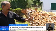 Festival de Fibras Naturais em São Miguel (Vídeo)