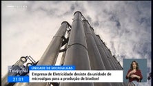 Imagem de 45 milhões de euros depois, o Governo vai desistir do projeto das microalgas no Porto Santo (vídeo)