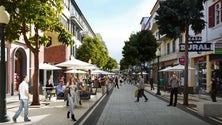 Imagem de Madeira perdeu 13 mil habitantes em menos de uma década (Vídeo)