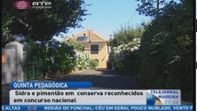 Imagem de 2 Produtos da Quinta Pedagógica dos Prazeres, premiados (Vídeo)