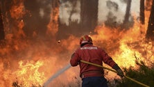Imagem de Bombeiro morre no combate a um incêndio na Lousã