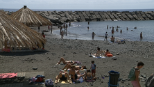 Bandeira amarela na praia da Ribeira Brava (vídeo)