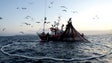 União Europeia autoriza pesca dirigida de atum rabilho na Madeira